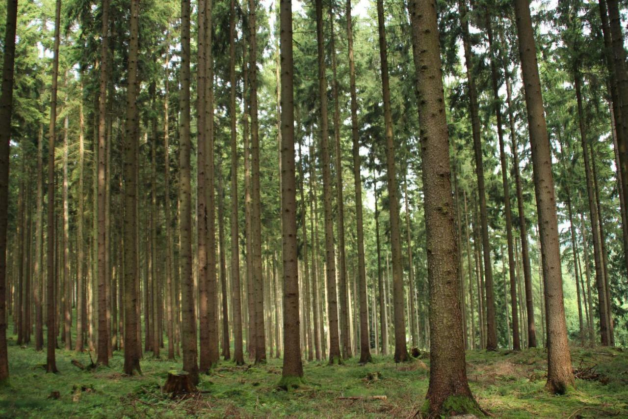Ferienhaus "Gestiefelter Kater" Am See Im Bergland Kirchheim  Εξωτερικό φωτογραφία